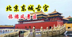 抠逼打炮中国北京-东城古宫旅游风景区