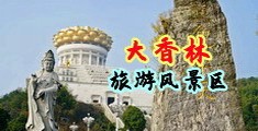 哈啊,大鸡巴插到里面,视频中国浙江-绍兴大香林旅游风景区